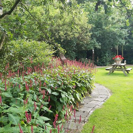 Rest En Romte Bed & Breakfast Birdaard ภายนอก รูปภาพ